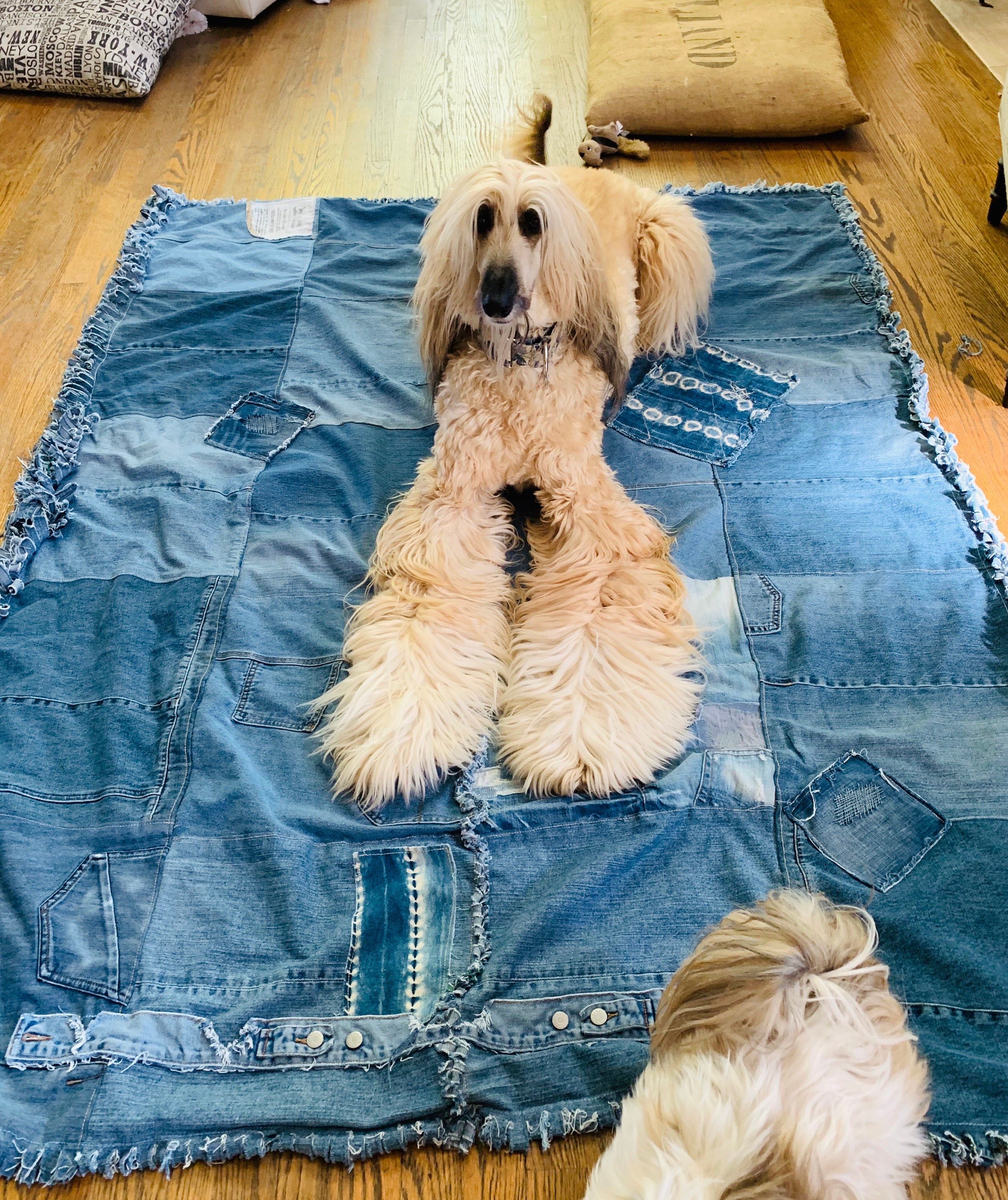 denim dog bed