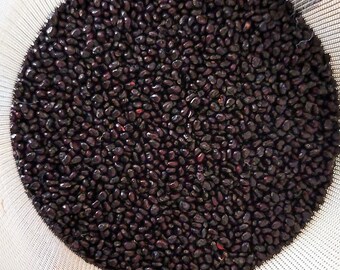 Saguaro Cactus Seeds - Etsy