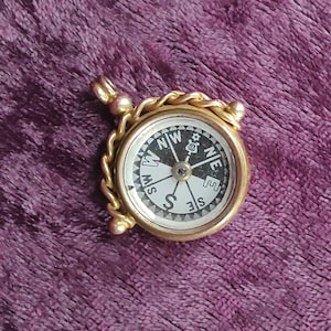 May include: A gold-toned metal compass pendant featuring a circular frame with a twisted rope-like border. The compass face is black and white with cardinal directions marked as N, E, S, and W, and includes a small lyre symbol near the north.