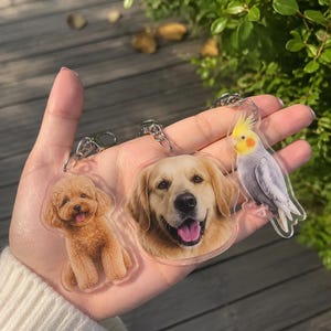 May include: Three clear acrylic keychains featuring printed animal portraits. One shows a brown poodle, another a golden retriever face, and the third a grey and yellow cockatiel. Each keychain includes a silver metal lobster clasp attachment.