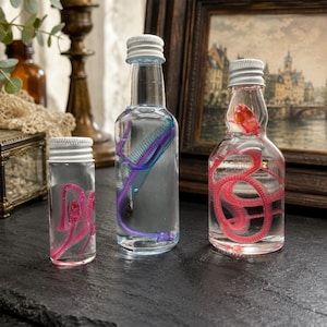 Puede incluir: Tres botellas de vidrio transparente con tapas de rosca blancas, cada una con un líquido y un esqueleto de plástico. La botella más pequeña contiene un esqueleto de serpiente rosa, la mediana uno morado y la más grande uno rojo.