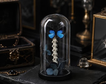 Real Butterfly & Snake Bone Specimen Dome, Mini Natural History Glass Display, Gothic Collector Decor