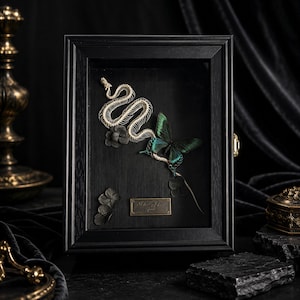 Puede incluir: Un marco de caja de sombra rectangular negro que contiene un esqueleto de serpiente blanco, una mariposa verde oscuro con alas iridiscentes y tres pequeñas flores secas negras. Una pequeña placa de latón rectangular con texto grabado está centrada abajo.
