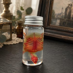 May include: A clear glass bottle with a silver screw-top lid containing a preserved specimen. Inside the liquid, a small turtle skeleton is visible, featuring a distinct red-dyed rib cage and skull structure suspended within the clear fluid.