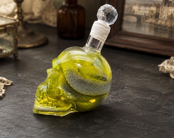 Skull Bottle Snake Specimen, Blue Snake Natural History Display