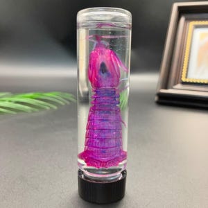 Può includere: Un flacone cilindrico trasparente con tappo a vite nero contenente un esemplare conservato. L'esemplare è tinto in vivaci tonalità di magenta e viola, mostrando un esoscheletro segmentato e strutture anatomiche sospese nel liquido.
