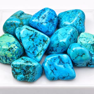 Puede incluir: Una colección de piedras de turquesa pulidas que presentan tonos azules y verdes vibrantes con vetas de matriz oscuras e intrincadas. Estas gemas suaves y pulidas están dispuestas en un grupo, mostrando formas orgánicas variadas y superficies brillantes.