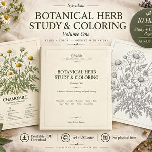 Peut inclure: Un ensemble de cahiers d'étude et de coloriage sur les herbes botaniques intitulé Botanical Herb Study & Coloring Volume One par SylvaEdit. Il comprend des pages éducatives avec des illustrations colorées de camomille et des dessins au trait.