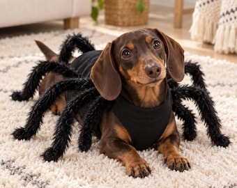 Disfraz de araña para gatos y perros pequeños - Traje de Halloween para mascotas - Regalo para amantes de los gatos
