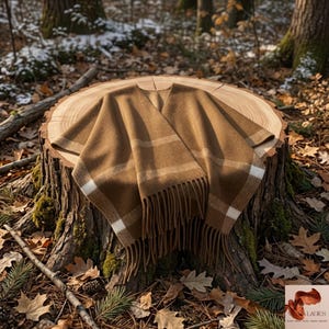 May include: A brown poncho featuring a subtle plaid pattern with white horizontal stripes and long fringe trim along the bottom edge. The garment has an open front design with a V-shaped neckline and a soft, textured appearance throughout the fabric.