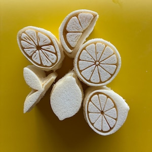 Può includere: Una collezione di pezzi bianchi testurizzati a forma di limone disposti in un motivo circolare. I pezzi presentano dettagliati disegni in rilievo di spicchi di agrumi con un colore marrone chiaro all'interno delle scanalature.