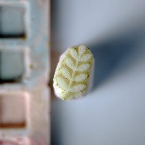 Könnte beinhalten: Ein kleiner, ovaler Stempel mit einem hellgrünen, geprägten Blatt- oder Farnmuster. Der Stempel liegt neben einer rechteckigen Palette mit mehreren quadratischen Vertiefungen, die mit verschiedenen trockenen Farbpigmenten gefüllt sind.