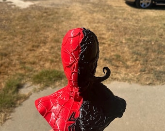 Venom and spider man