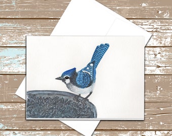 Single Note Card with Envelope, Blue Jay Perched on Feeder, Finished Size 5" x 7" Print of Original Watercolor Artwork, Blank Inside