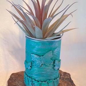 May include: A teal blue painted tin can with embossed butterflies and foliage, used as a planter for a small air plant.