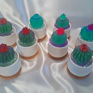May include: A collection of eight small, white ceramic pots with faux cactus plants. The cacti are made of clear resin and have a variety of colors, including green, blue, and purple. Each pot has a small wooden base.
