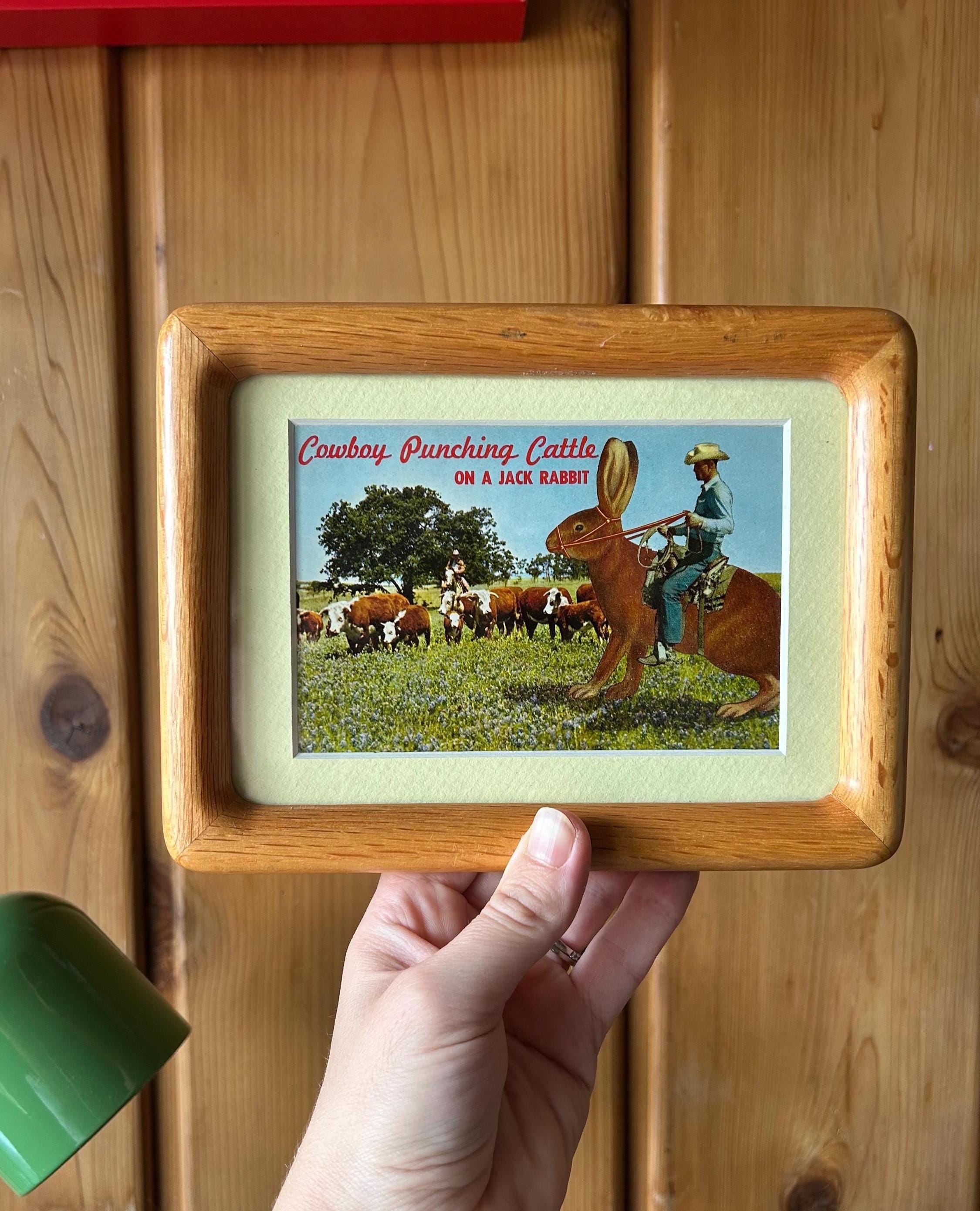 Western Postcards - Etsy