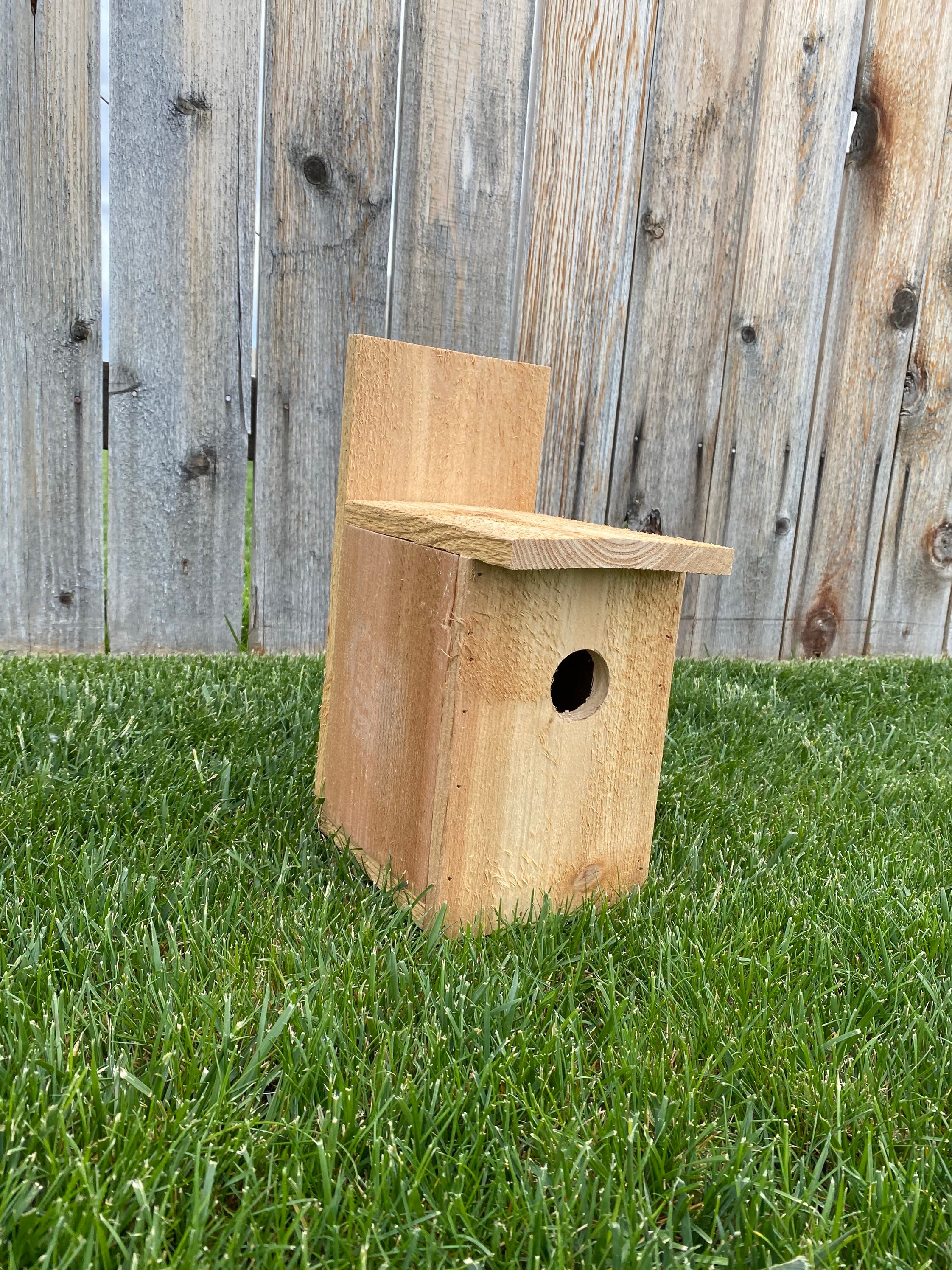 Birdhouse Kit DIY Etsy