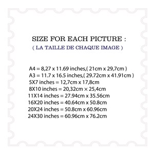 May include: A white sheet of paper with black text listing the size for each picture in inches and centimeters. The text includes the following sizes: A4, A3, 5x7, 8x10, 11x14, 16x20, 20x24, and 24x30.