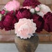 see more listings in the Paper flowers section