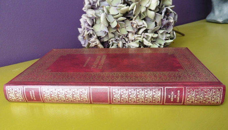 K&ouml;nnte beinhalten: Ein rotes, ledergebundenes Buch mit goldenen Verzierungen und dem Titel "Le m&eacute;decin de campagne" auf dem R&uuml;cken.