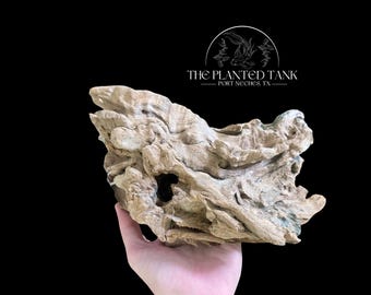 Large Congo Driftwood - Aquarium Safe 9-12” Driftwood Pieces