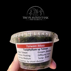 May include: A clear plastic container filled with green Taiwan Moss, Taxiphyllum sp Taiwan. The label lists origin as Taiwan, growth as medium, position as floating, difficulty as easy, lighting as medium, and temperature as 70-86F. Text reads THE PLANTED TANK.