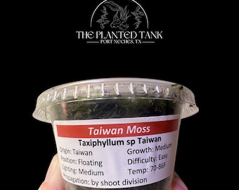 Taiwan Moss Portion - Live Aquarium Moss