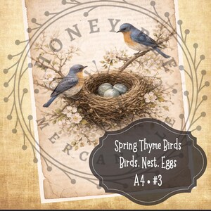 May include: A vintage-style print featuring two bluebirds perched near a nest with eggs, set against a backdrop of aged paper and floral accents. The text reads "Spring Thyme Birds, Birds. Nest. Eggs, A4 • #3" and "HONEY BEE MERCANTILE".