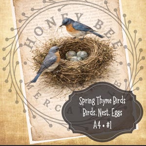Digital Download, Printable, Decoupage, Primitive, Craft Supplies, Spring Thyme,  Birds, Nest, Blue Birds, A4, #1