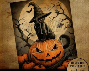 May include: A black cat wearing a witch's hat sits on top of a jack-o'-lantern with a carved face. The background is a dark forest with a full moon and a small owl perched on a branch.