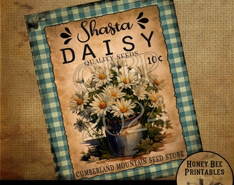 May include: Vintage seed packet design featuring a bouquet of white Shasta daisies in a blue and white pitcher. The packet is labeled "Shasta Daisy Quality Seeds 10¢" and "Cumberland Mountain Seed Store".