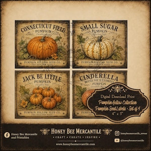 May include: A set of four rectangular digital download prints featuring vintage-style pumpkin seed labels. Each label displays botanical illustrations of pumpkins with text including Connecticut Field, Small Sugar, Jack Be Little, and Cinderella.