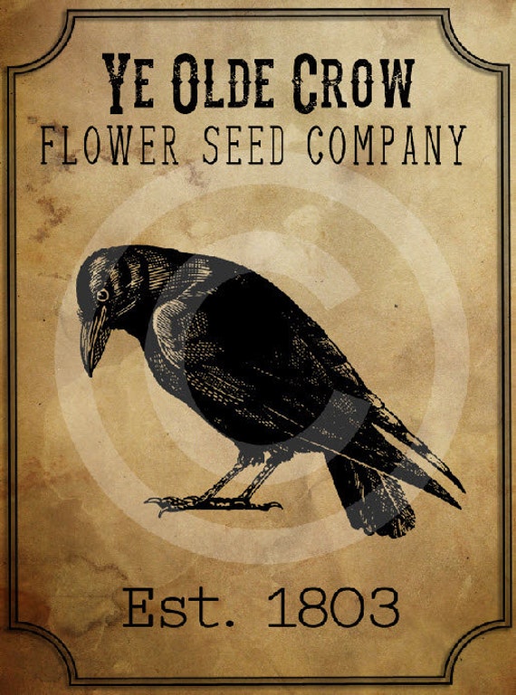 Primitive Old Crow Seed Company-printable Digital Feedsack Logo