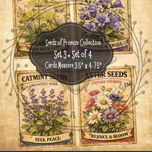 May include: Set of four vintage-style seed packet cards from the "Seeds of Promise Collection." Each card features botanical illustrations of dill, bellflower, catmint, and aster seeds. Cards measure 3.5 x 4.75 inches.