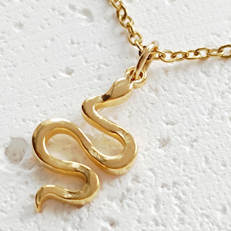 May include: A gold snake necklace with a delicate chain. The snake pendant is a simple, minimalist design.