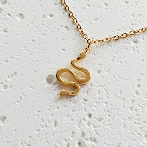 May include: A gold snake pendant necklace with a delicate chain.