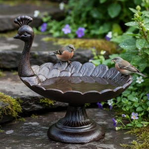 Bain d'oiseaux en métal en forme de paon, décoration de jardin rustique, bain d'oiseaux d'extérieur