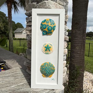 May include: A vertical white rectangular frame containing three mounted sea specimens. The top and bottom pieces are yellow scallop shells with teal circular patterns. The centre piece is a white sand dollar with a teal star and the text Live Laugh Love.