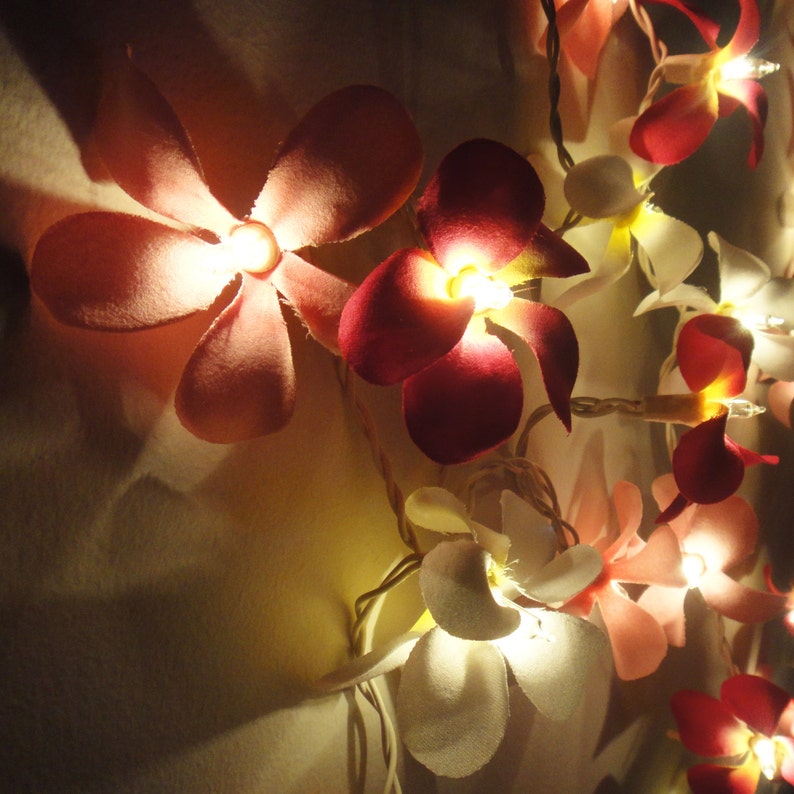 8 Colour 35 Frangipani String Lights Flower Fairy Lights | Etsy