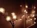 20 White String Lights Rose Flower Fairy Lights Bedroom Home Decor Living Room Wall Hanging Lights Wedding Decor Dorm Light Battery or Plug