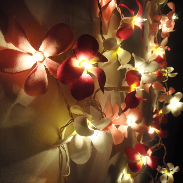 Magenta Shades Frangipani Cadena de luces Luces de hadas de flores Dormitorio Decoración del hogar Sala de estar Colgante de pared Luces de boda Decoración Luces de dormitorio