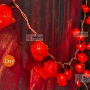 35 Red String Lights Rose Flower Fairy Lights Bedroom Home Decor Living Room Wall Hanging Lights Rustic Wedding Decor Wall Dorm Lights Plug