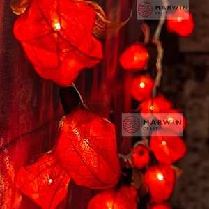 35 Red String Lights Rose Flower Fairy Lights Bedroom Home Decor Living Room Wall Hanging Lights Rustic Wedding Decor Wall Dorm Lights Plug image 2