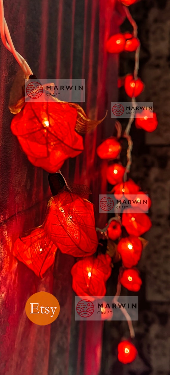 35 rote Lichterketten Rose Blumen Lichterkette Schlafzimmer Wohnkultur Wohnzimmer Wandbehang Lichter Rustikale Hochzeitsdeko Wohnheim Lichter Stecker