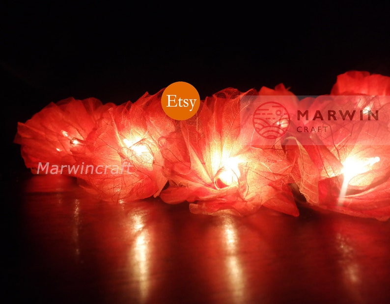20 Orange String Lights Carnation Flower Fairy Lights Bedroom Etsy