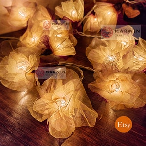 Beige Ivory Carnation String Lights Flower Fairy Lights Bedroom Home Decor Living Room Wall Hanging Lights Decor Dorm Light USB Battery Plug image 7