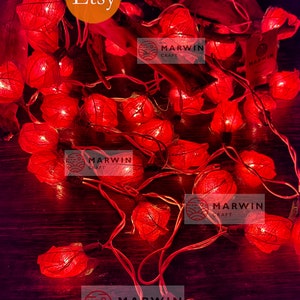 35 Red String Lights Rose Flower Fairy Lights Bedroom Home Decor Living Room Wall Hanging Lights Rustic Wedding Decor Wall Dorm Lights Plug image 3