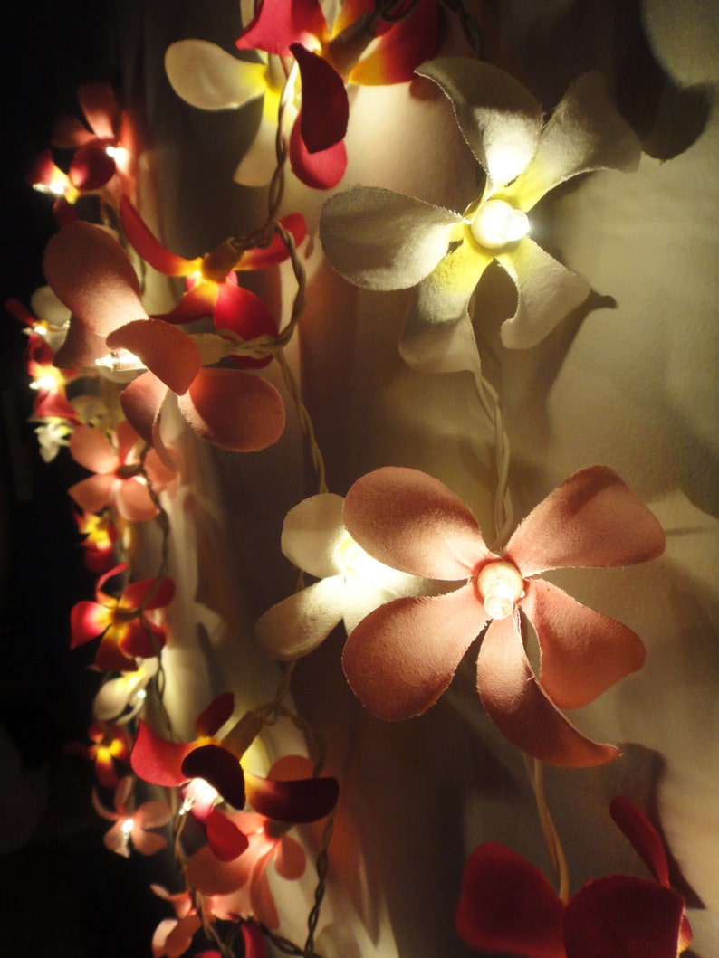 35 Magenta Shades Frangipani String Lights Flower Fairy | Etsy