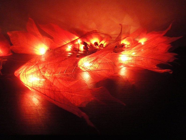 Orange String Lights Bodhi Leaves Flower Fairy Lights Bedroom Etsy